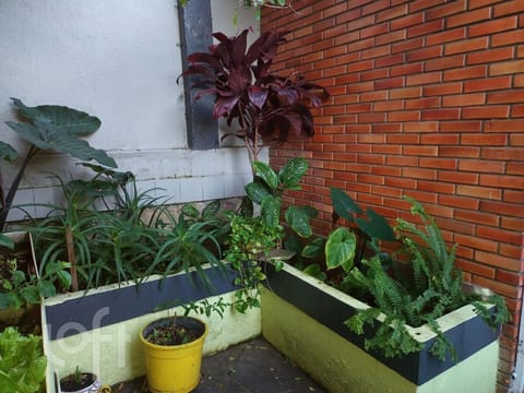 Image 51 - 230110